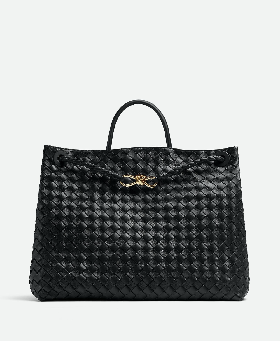 BOTTEGA VENETA Large Andiamo